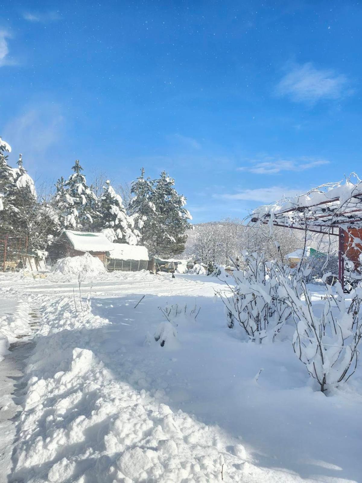 Konaci Oceva Zemlja Bungalovi Konaci Oceva Zemlja Vikendica Mojkovac Exterior photo